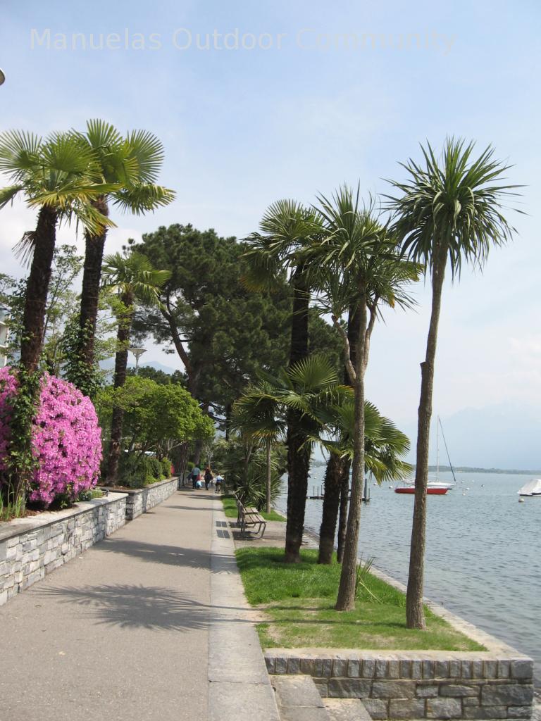 Promenade am Lago Maggiore im schönen Tessin der Schweiz. 2016-04-21_12-36-22.jpg